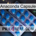 Anaconda Capsule viagra2